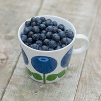 Floryd Blueberry Cup & Saucer 250ml