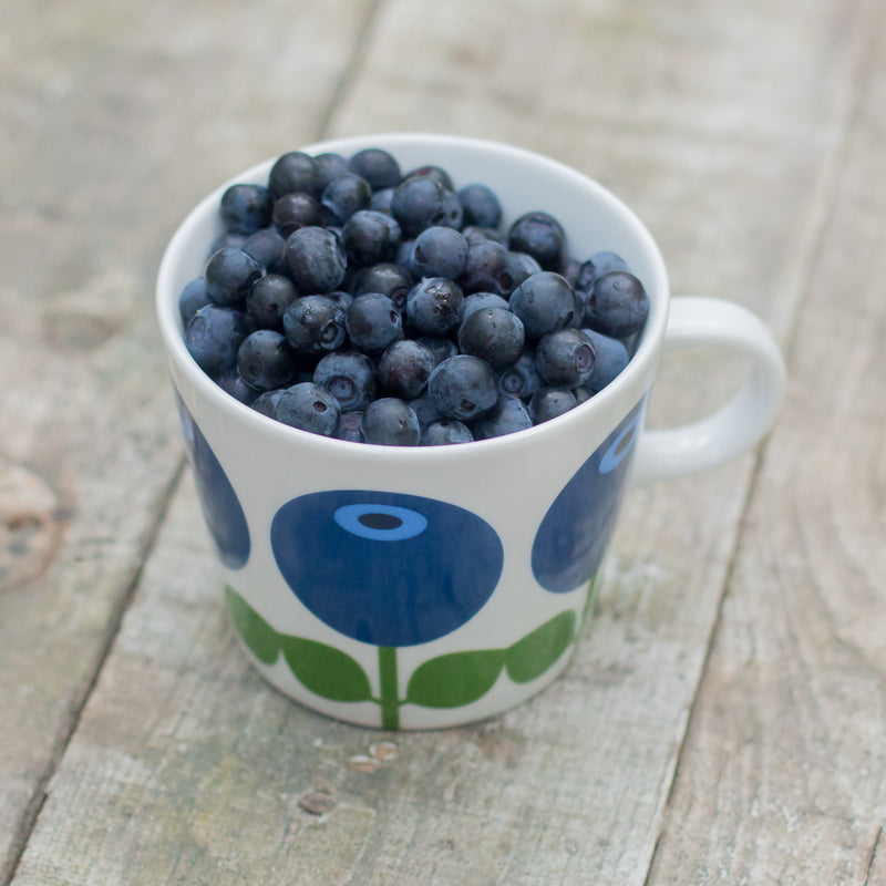 Floryd Blueberry Cup & Saucer 250ml