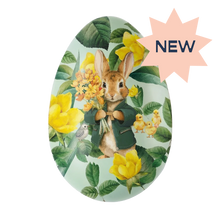 Load image into Gallery viewer, Emil the Easter Egg
