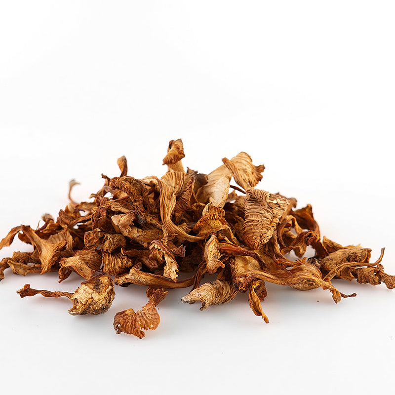 Dried Chantarelle Mushrooms 20g