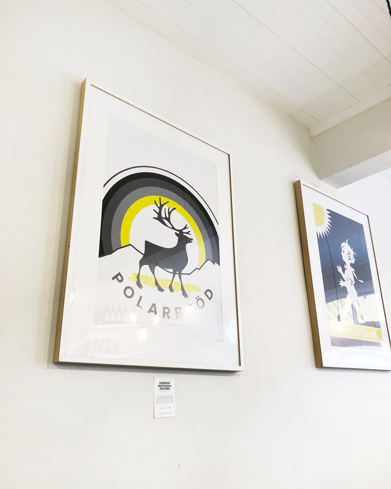 polar poster